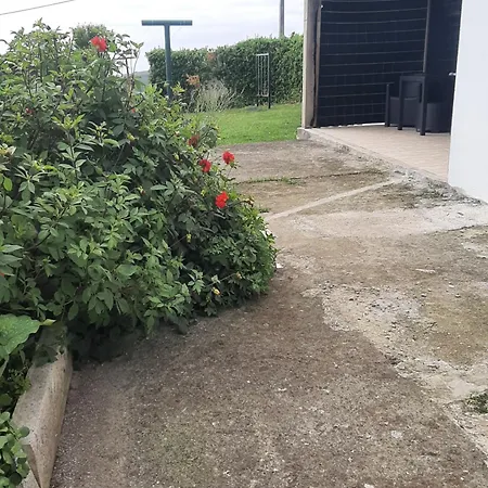 Appartement Casa Vicente *