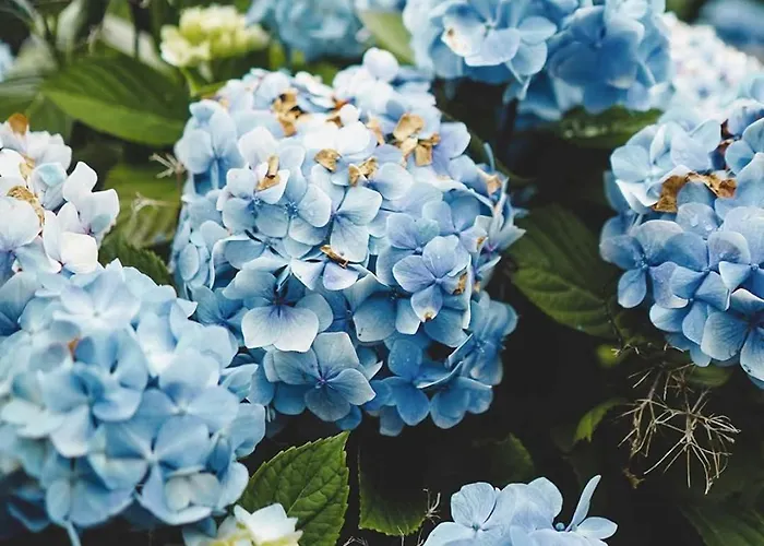 Casa Vicente Appartamento